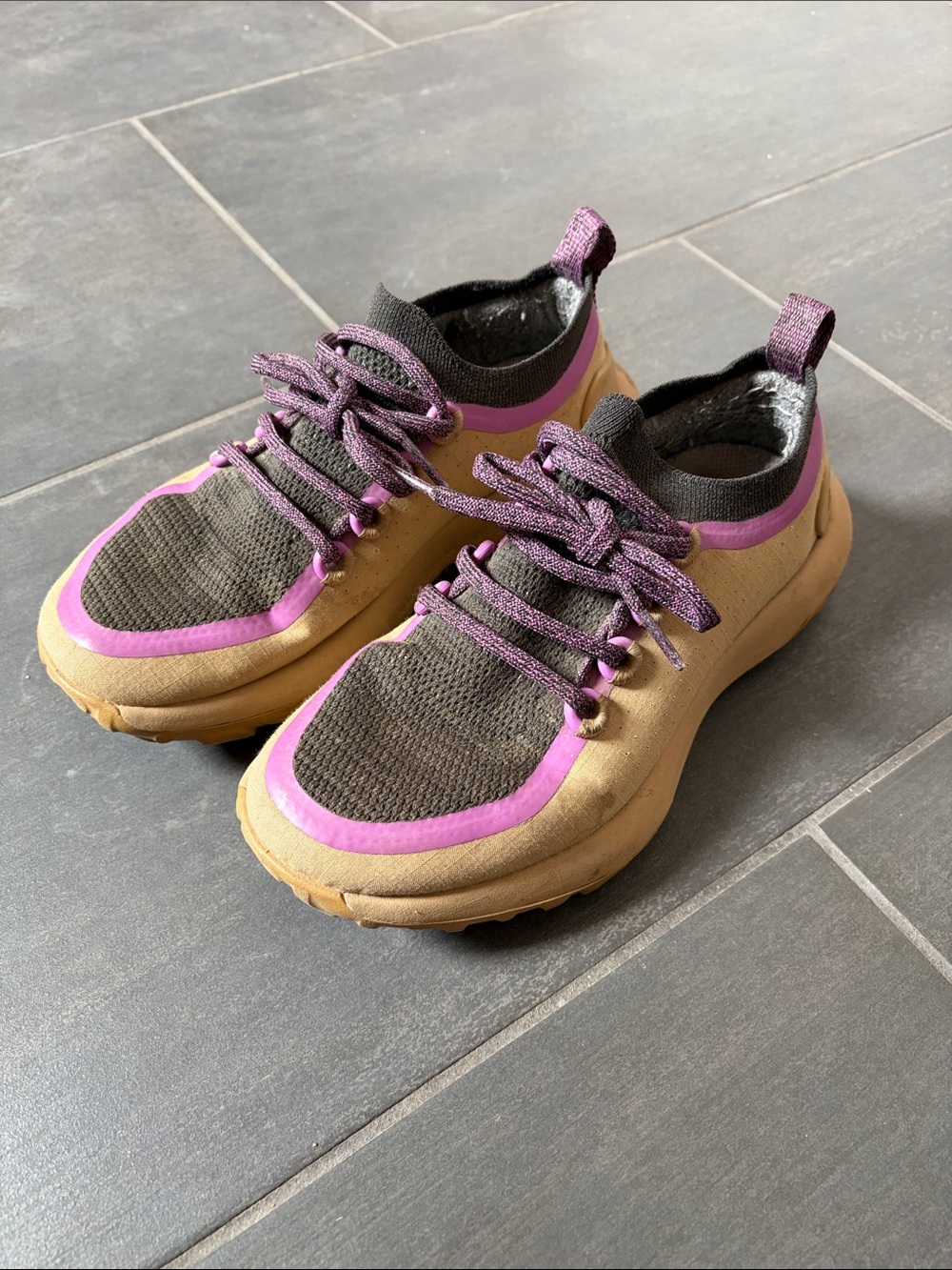 Allbirds Trail Sneakers in Tan and Purple